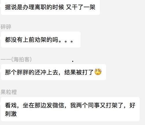 吃瓜群众的视频大全,揭秘娱乐圈幕后故事